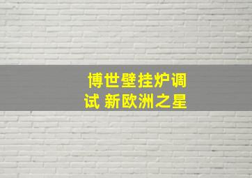 博世壁挂炉调试 新欧洲之星